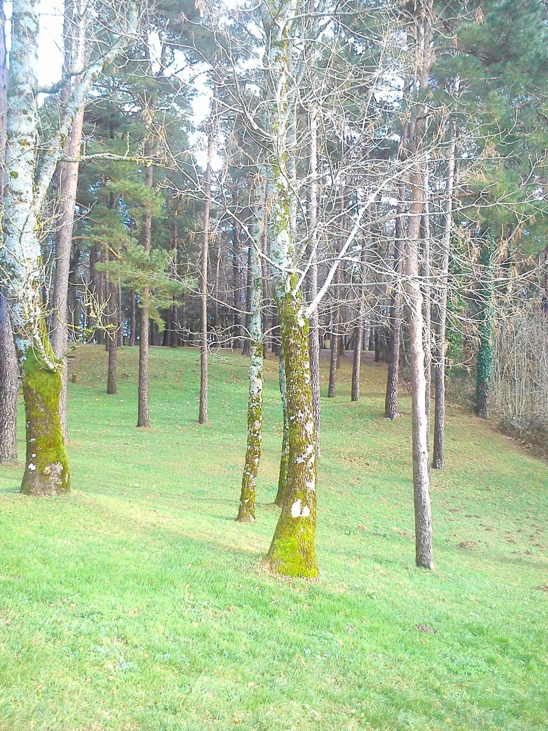 Pourquoi pratiquer le Reiki