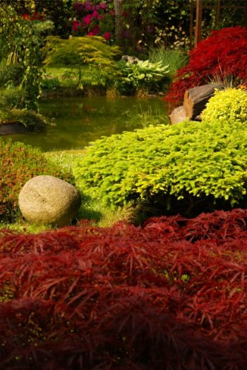 Le Reiki n'est pas une secte reikiusui-reikikaruna.com